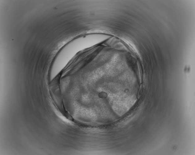 X0000090630389200708141438