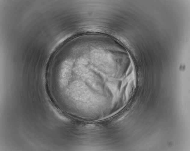 X0000090630390200708141438