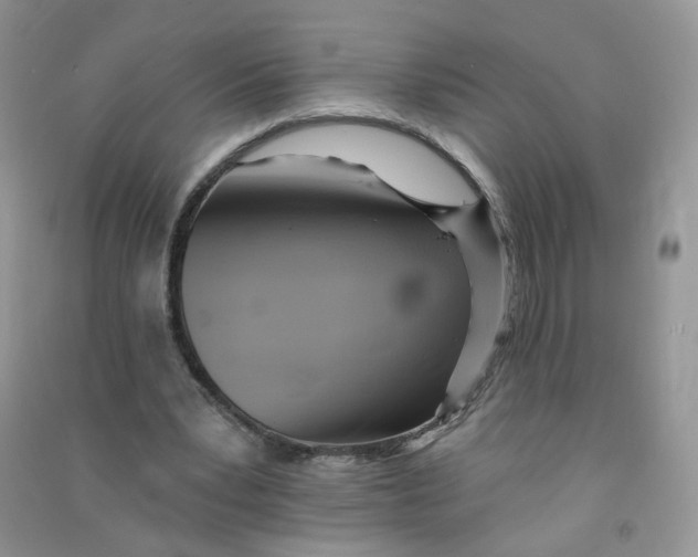 X0000090630391200708141438