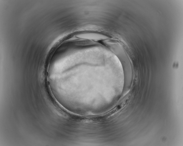 X0000090630392200708141438