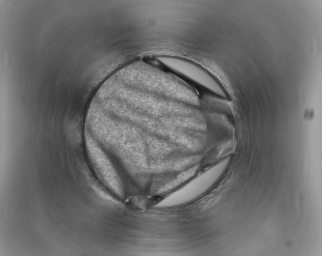 X0000090630393200708141438