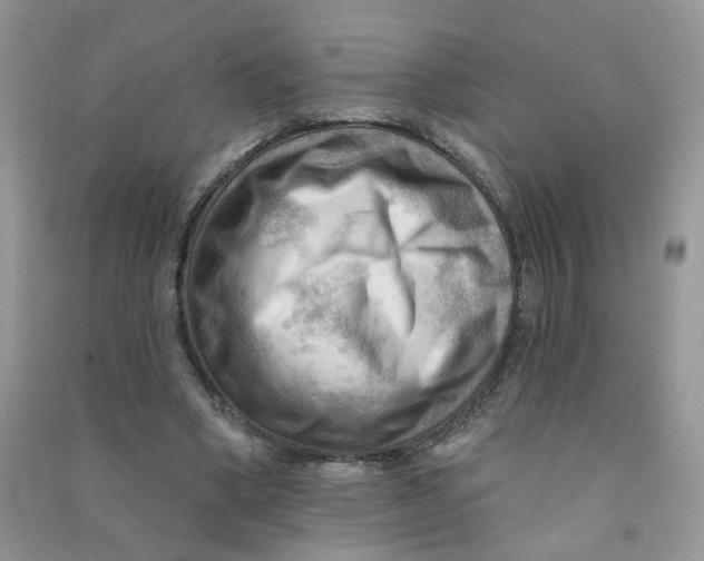 X0000090630394200708141438