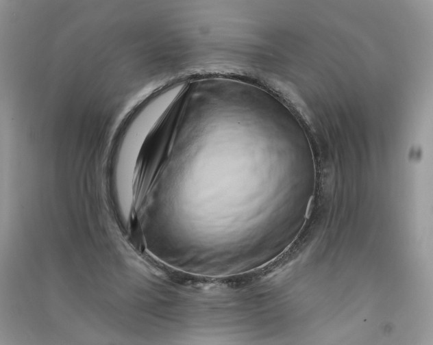 X0000090630395200708141438