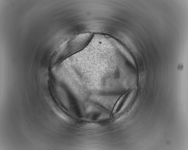 X0000090630397200708141438