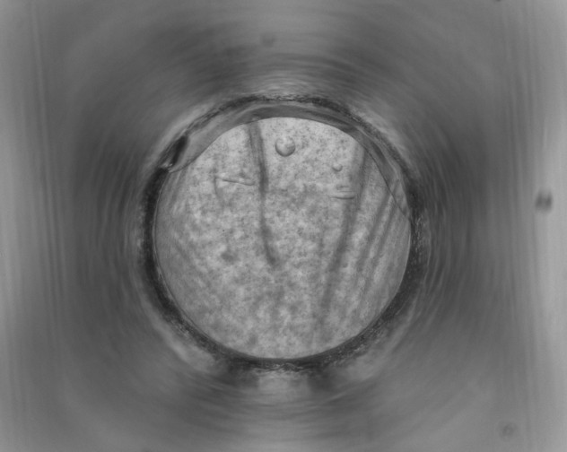 X0000090630400200708141438