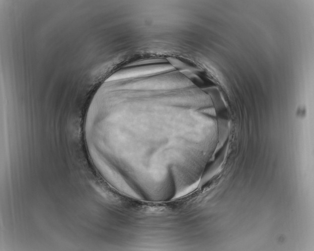 X0000090630401200708141438