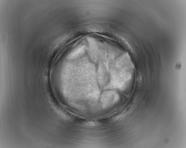 X0000090630402200708141438