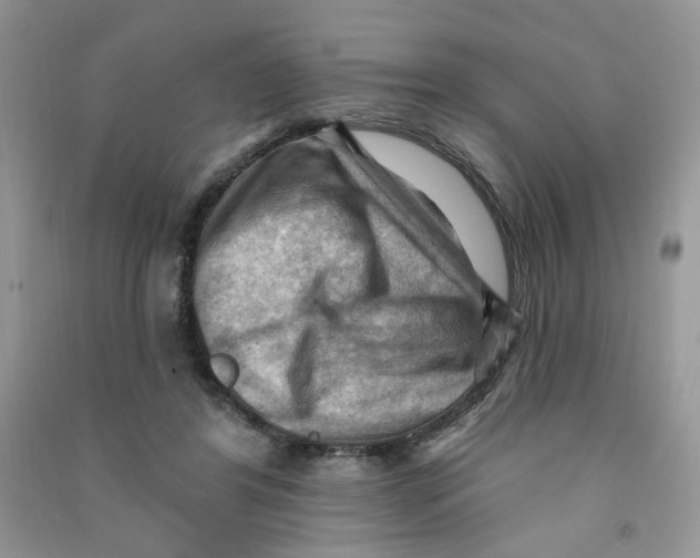 X0000090630404200708141438