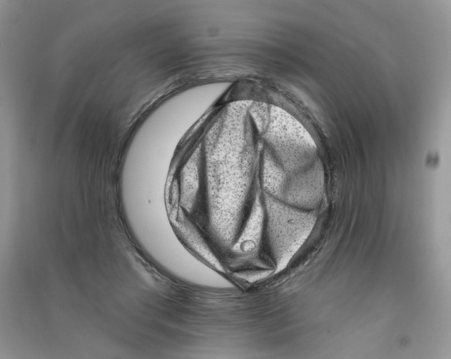 X0000090630405200708141438
