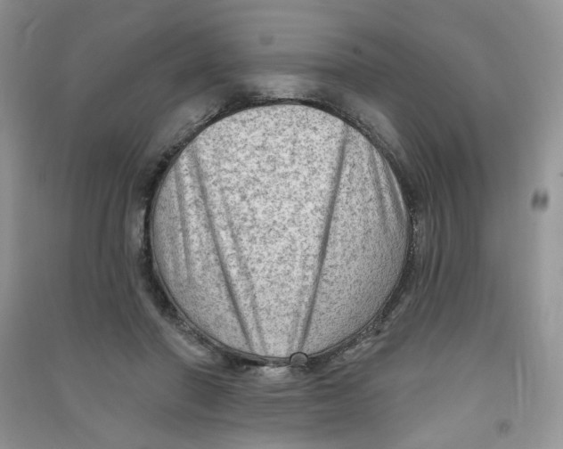 X0000090630406200708141438