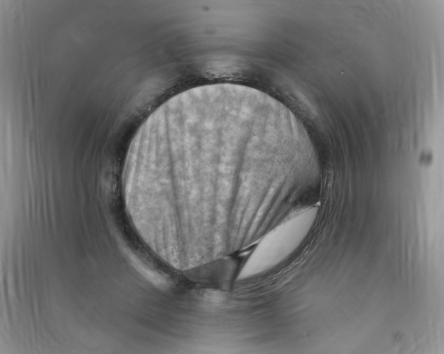 X0000090630408200708141438