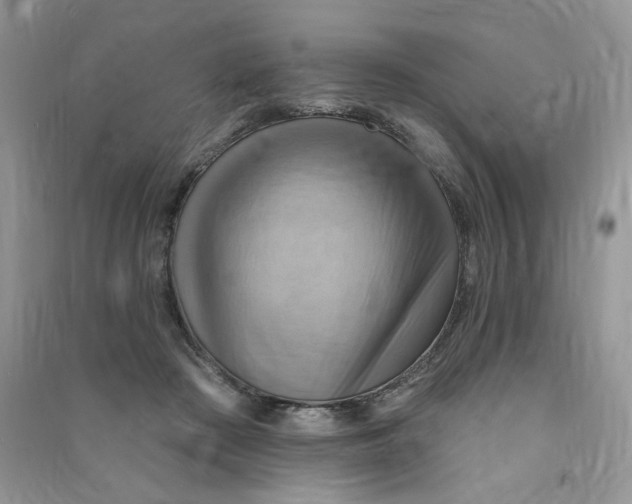 X0000090630409200708141438