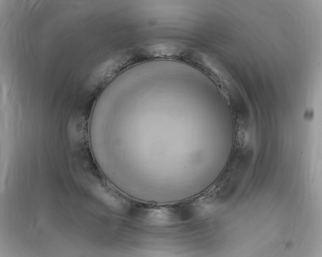X0000090630411200708141438