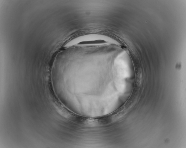 X0000090630413200708141438