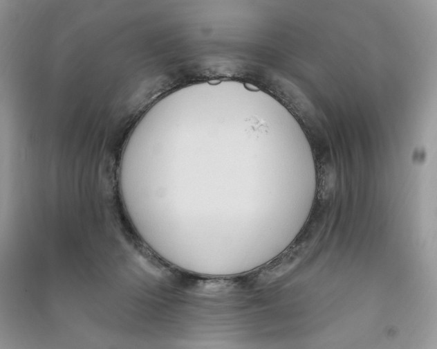 X0000090630414200708141438