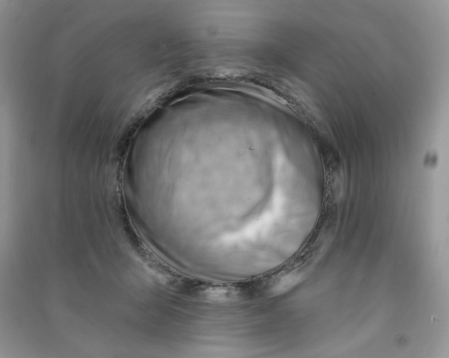 X0000090630415200708141438