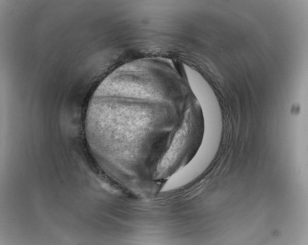 X0000090630416200708141438