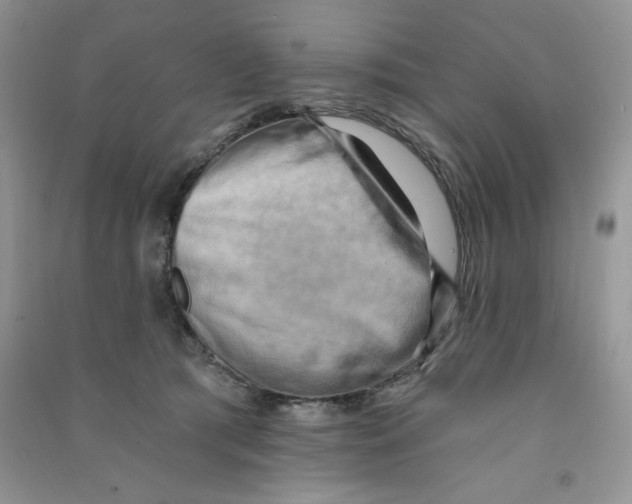 X0000090630417200708141438