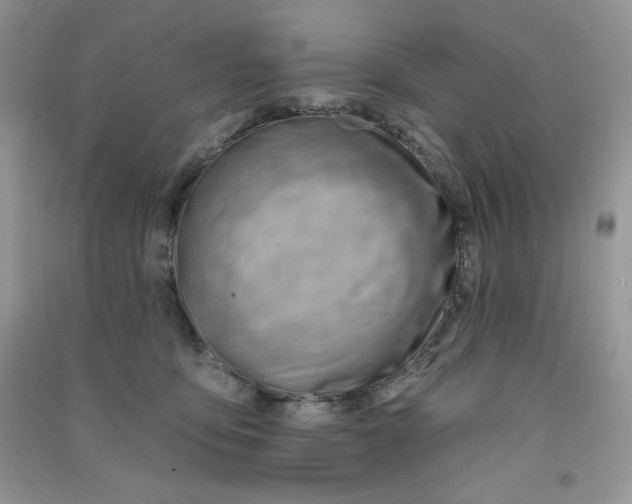 X0000090630419200708141438