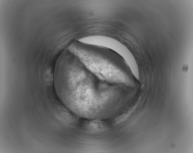 X0000090630420200708141438