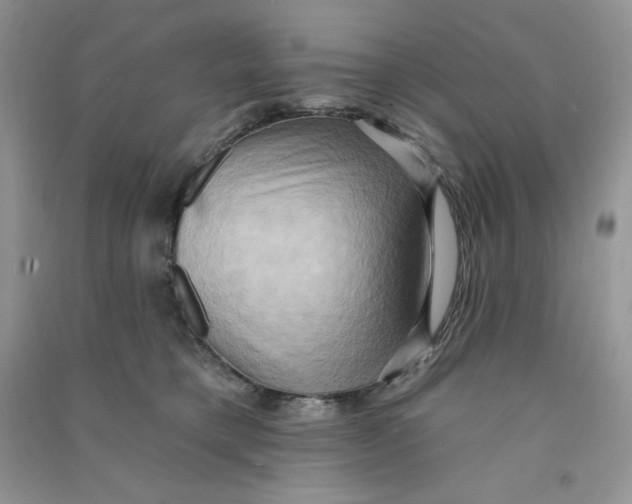 X0000090630421200708141438