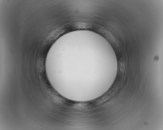 X0000090630422200708141438