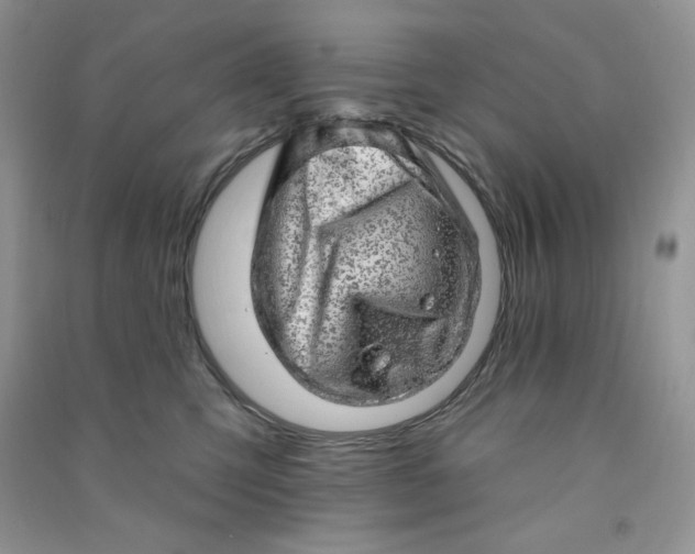X0000090630423200708141438