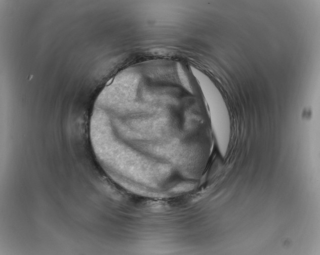 X0000090630424200708141438