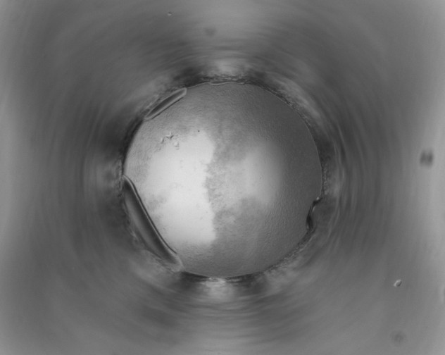X0000090630425200708141438