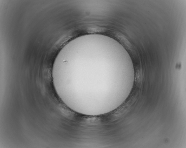X0000090630426200708141438