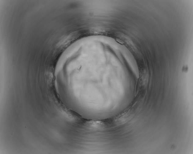 X0000090630427200708141438