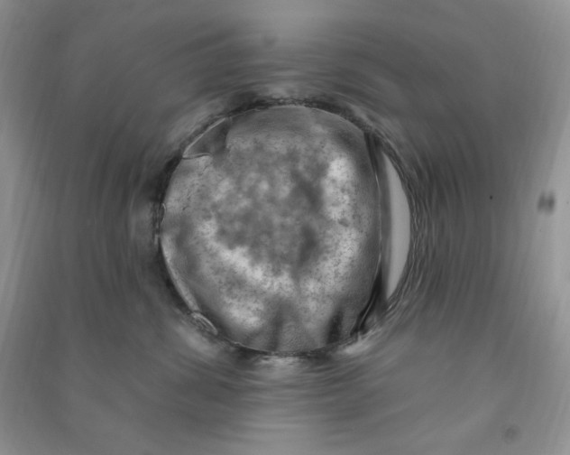 X0000090630428200708141438
