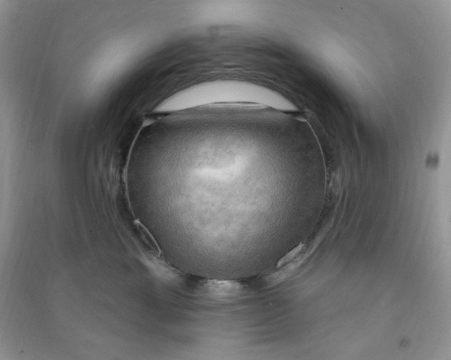 X0000090630429200708141438