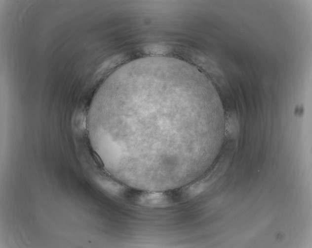X0000090630431200708141438