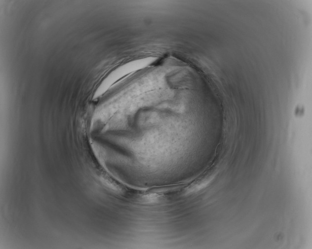X0000090630432200708141438