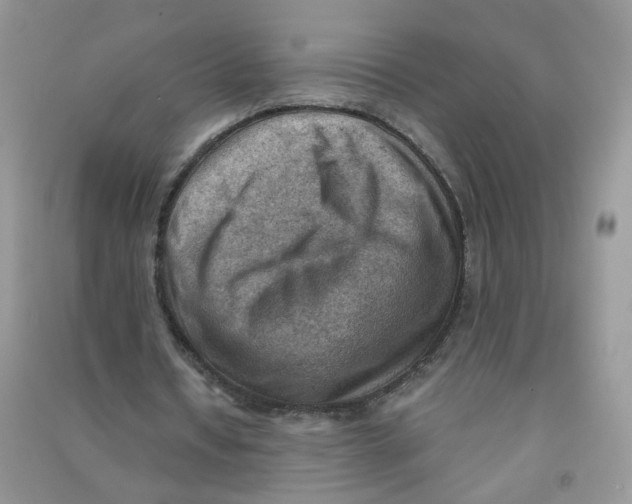 X0000090630434200708141437