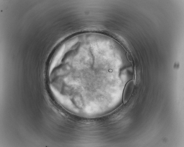 X0000090630435200708141437