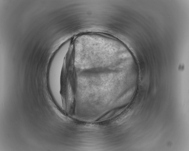 X0000090630437200708141437
