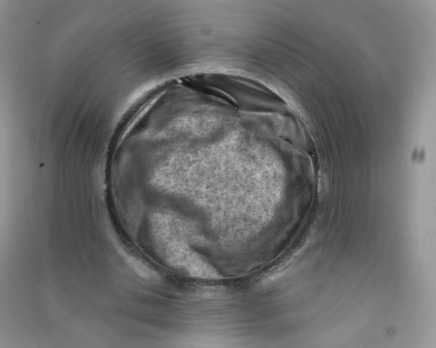 X0000090630438200708141437