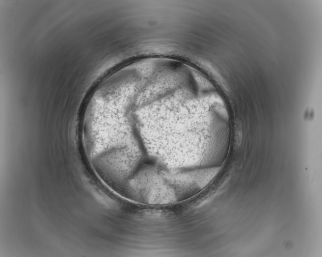 X0000090630439200708141437
