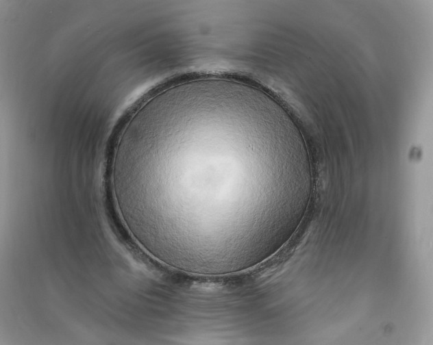 X0000090630440200708141437
