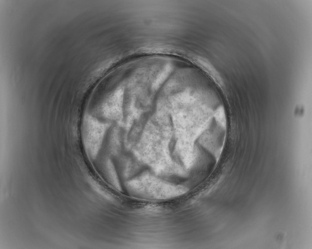 X0000090630441200708141437