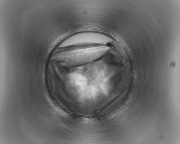 X0000090630442200708141437
