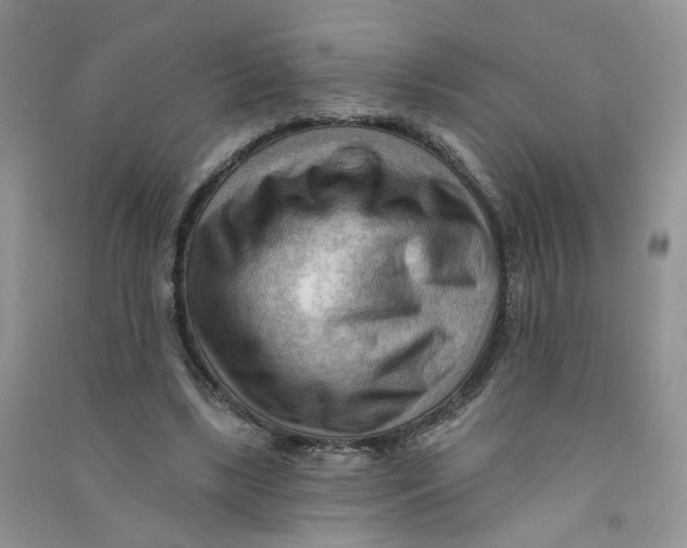 X0000090630443200708141437