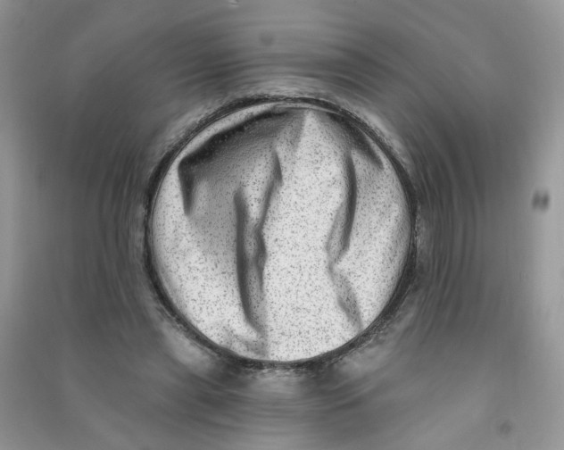 X0000090630445200708141437