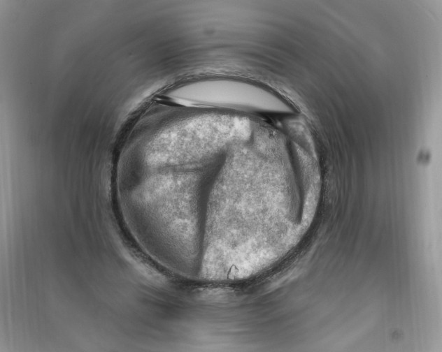 X0000090630446200708141437