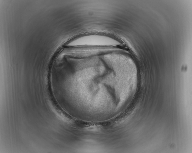 X0000090630447200708141437