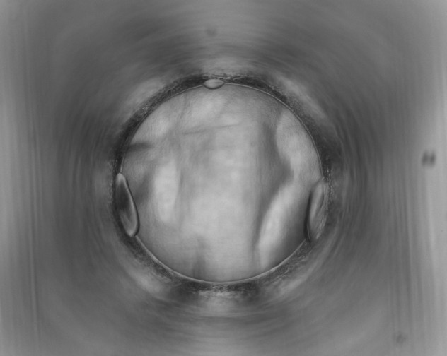 X0000090630448200708141437