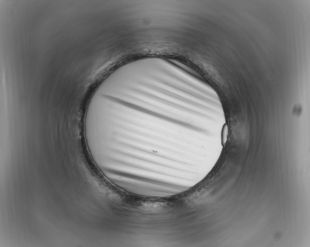 X0000090630450200708141438