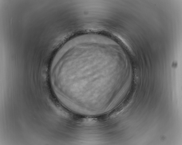 X0000090630451200708141438